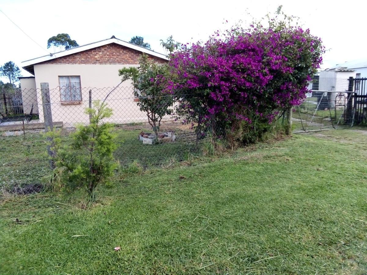 The Crags Amelia'S Cottage المظهر الخارجي الصورة